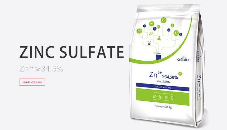 Zinc Sulfate ZnSo4 H20 White Powder