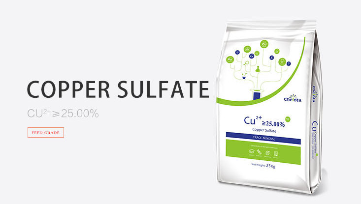 Reduced Dustiness Sulfate Salts Cu 25% Cuso4 Powder Anti Caking